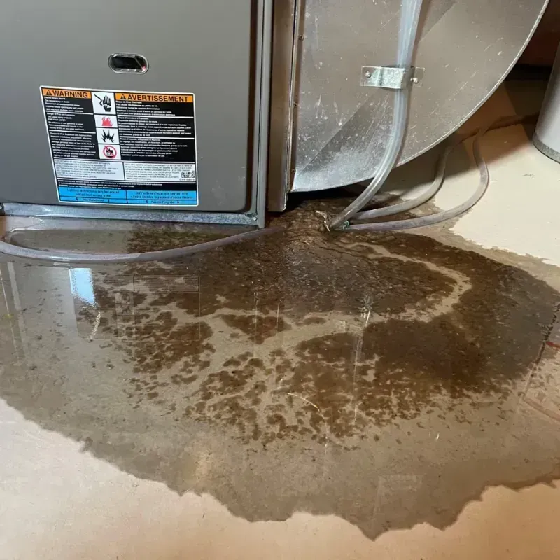 Appliance Leak Cleanup in Glendale, OH